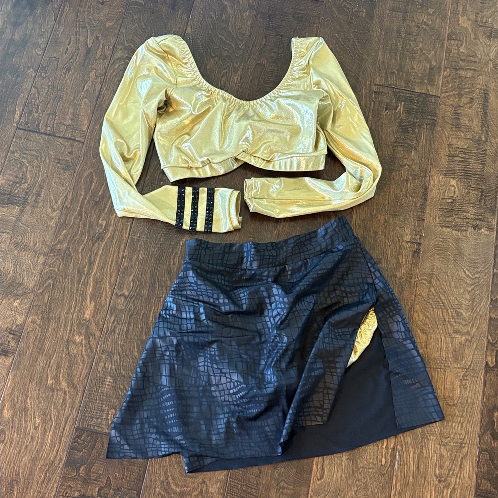 Gold Long Sleeve Crop Top and Black Skirt dance costume